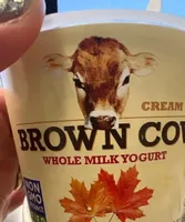 Whole Milk Yogurt