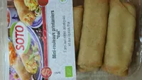 MINI ROULEAUX PRINTANIERS Thaï Vegan