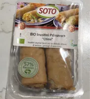 Involtini primavera