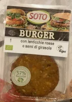 Burger lenticchie rosse e semi di girasole