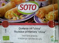 Rouleaux printaniers "Chine"