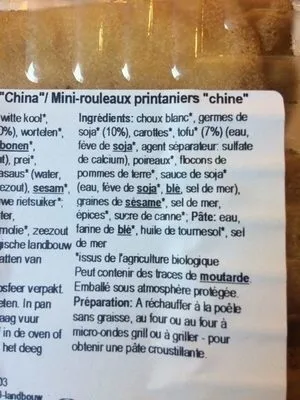Mini Loempia China P.st.
