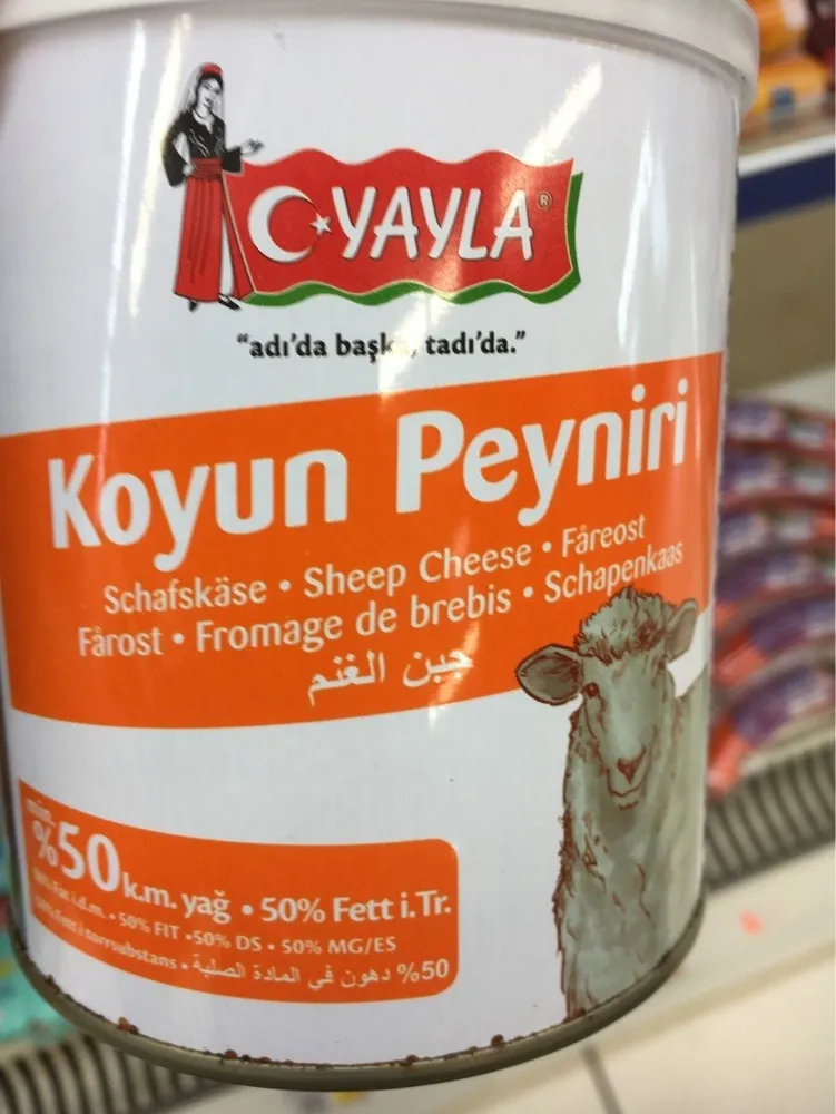 Koyun peyniri