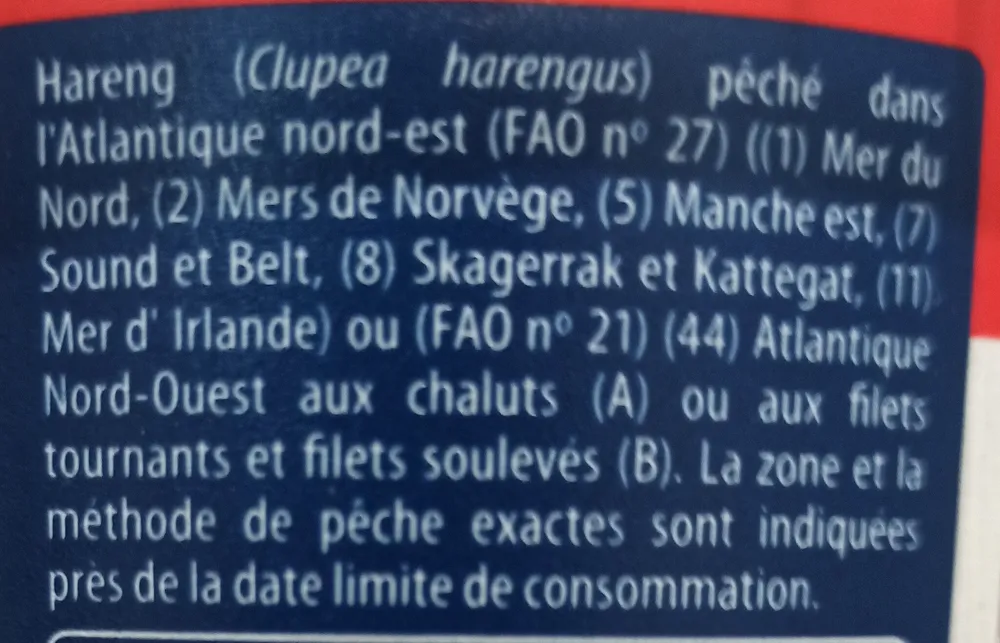 Morceaux de filet de hareng