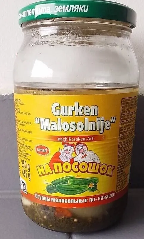 Gurken Malosolnije - nach Kasakan-Art