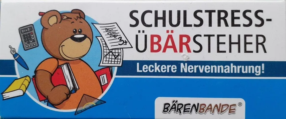 Schulstress Übärsteher