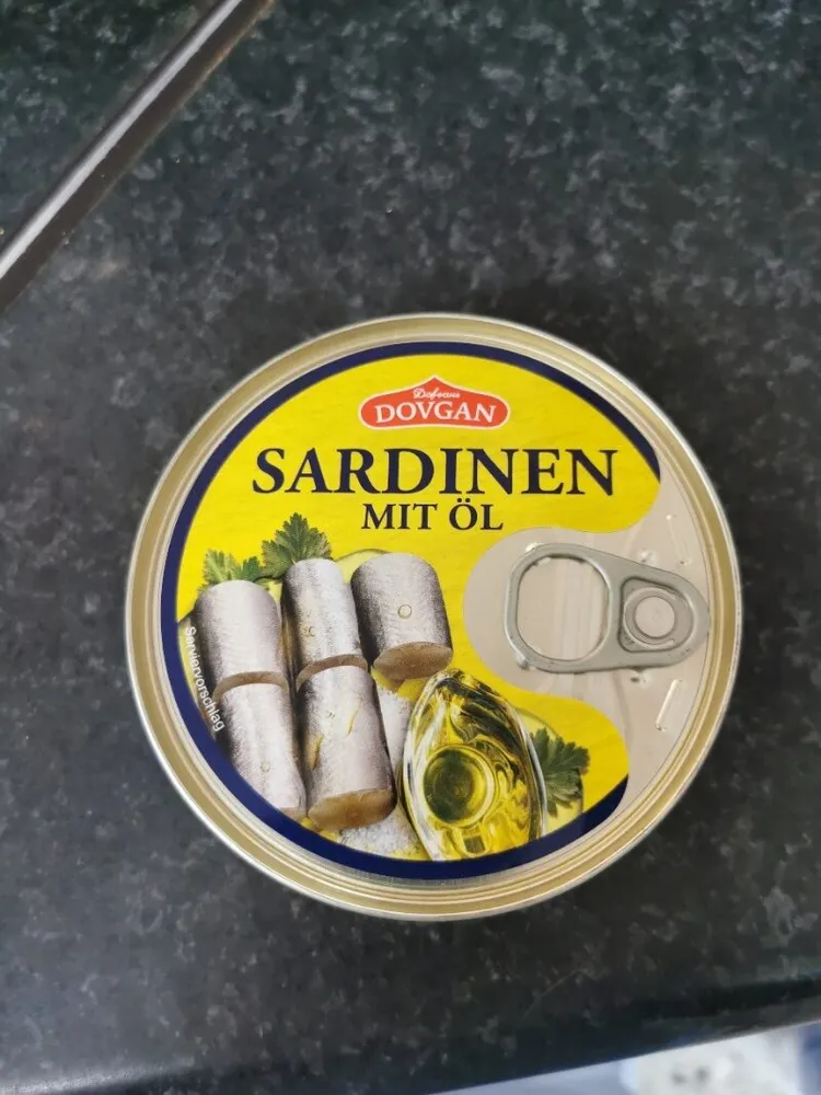 Sardinen in Öl