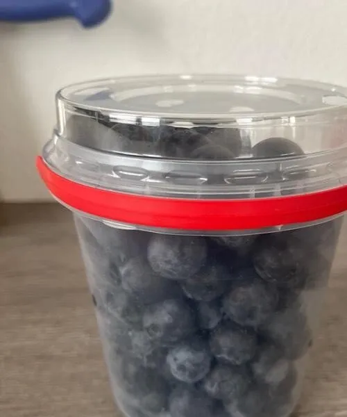 Heidelbeeren
