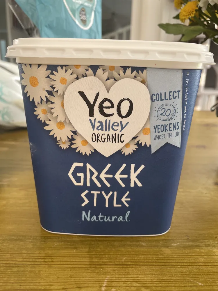 Greek style natural yogurt organic