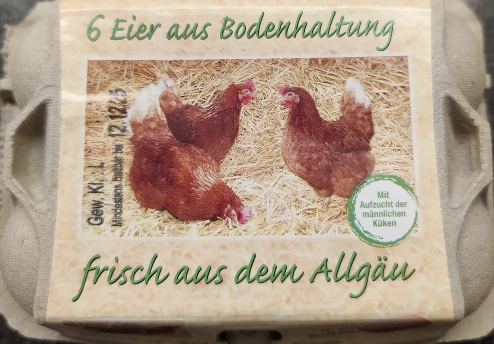 Eier aus Bodenhaltung