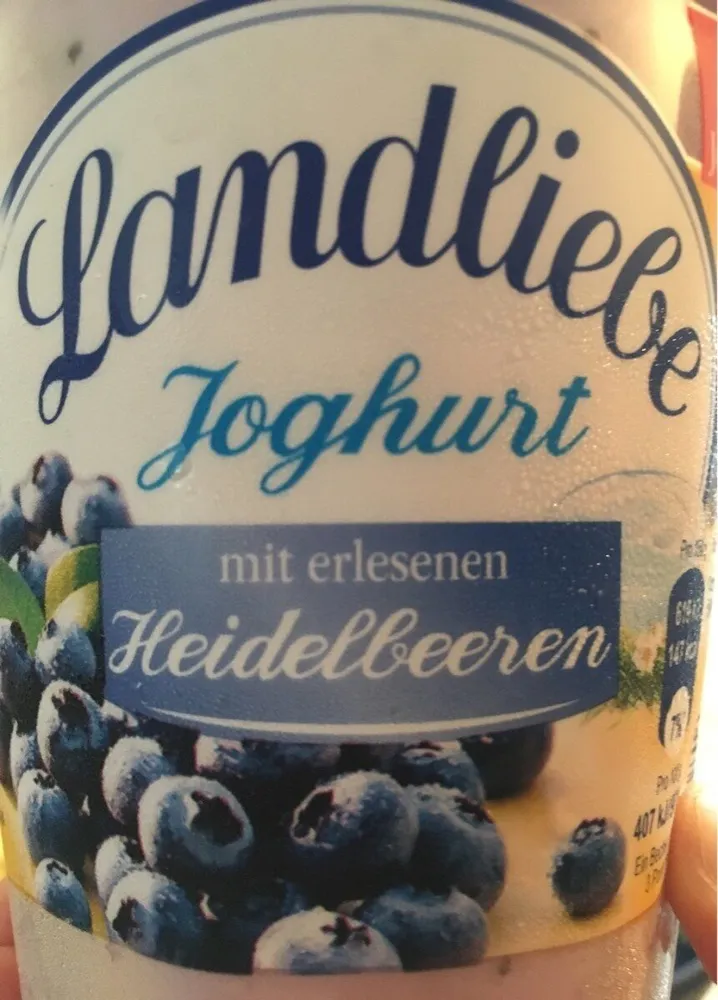 Joghurt mit erlesenen heidelbeeren