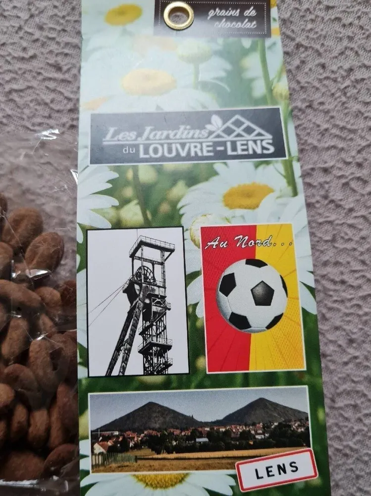 Grains de chocolat