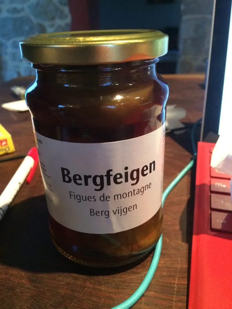 Bergfeigen