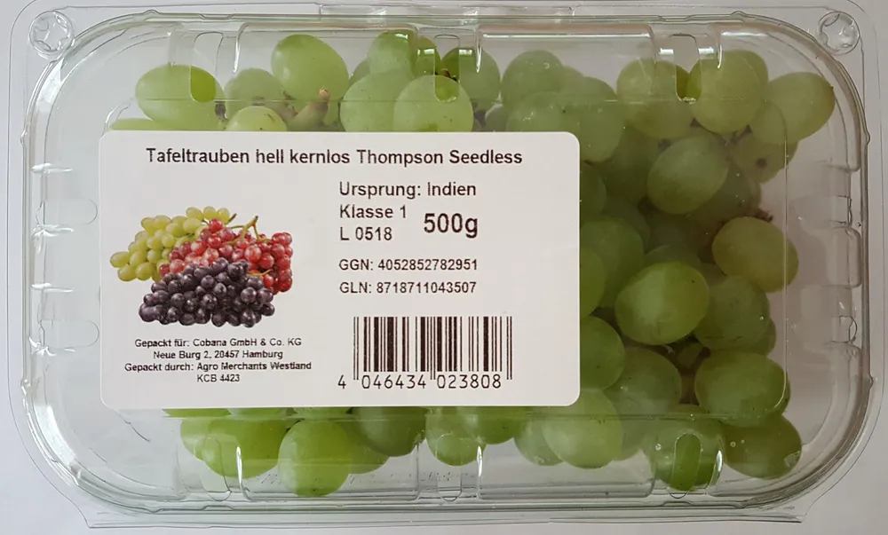 Tafeltrauben hell kernlos, Thompson Seedless
