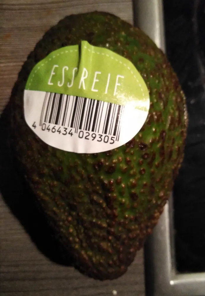 Avocado