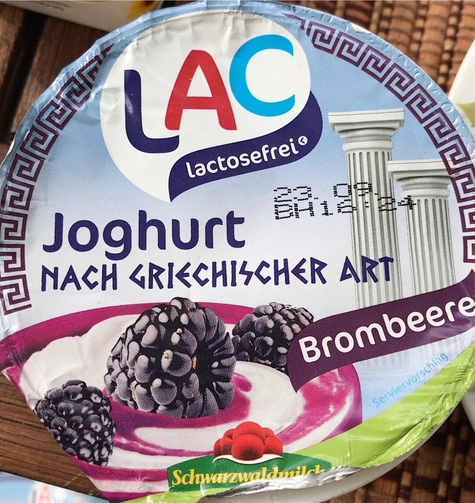 Joghurt nach griechischer Art Blaubeere