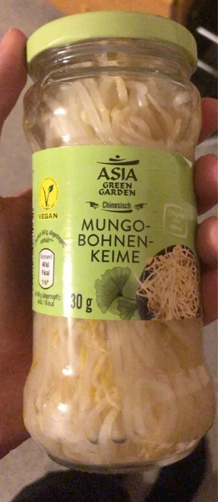 Mungobohnenkeime