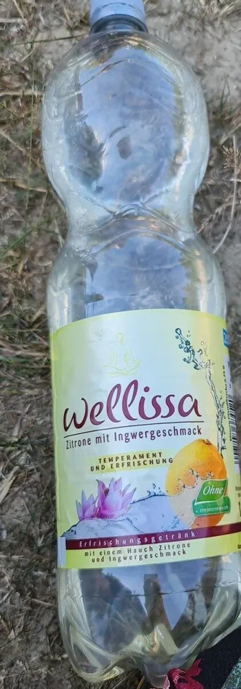 wellissa zitrone mit ingwergeschmack