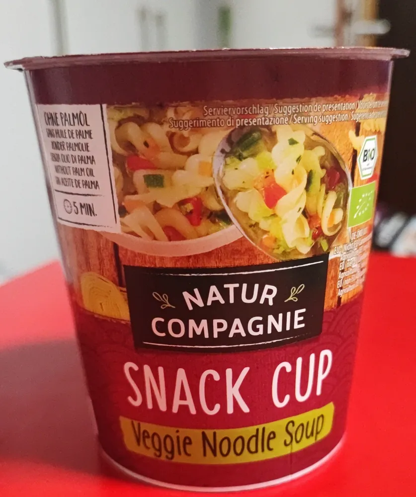 VEGGIE NOODLE SOUP POT INSTANTANEE