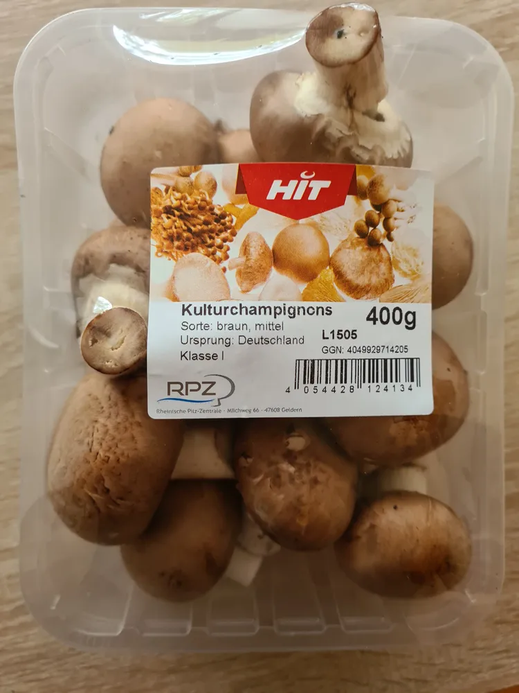 Kulturchampignons, braun