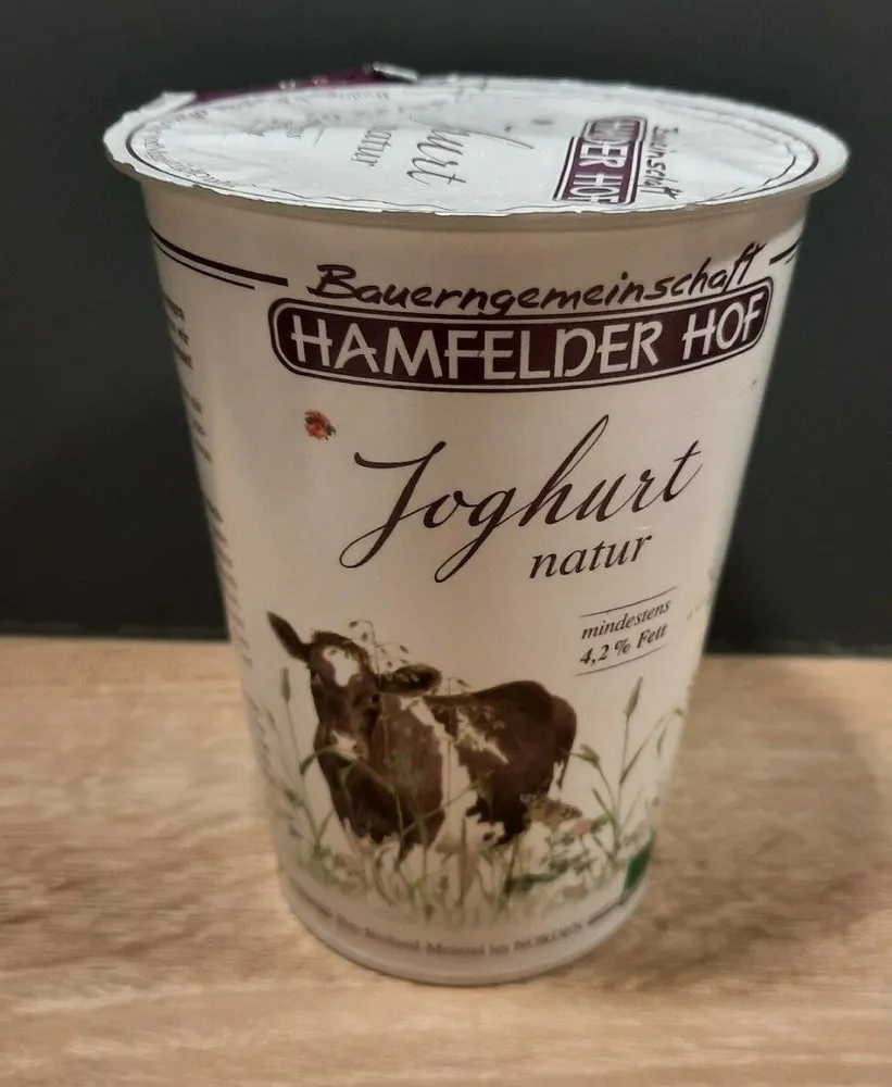 Joghurt natur 4,2% Fett