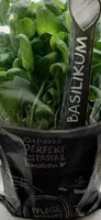 Basilikum