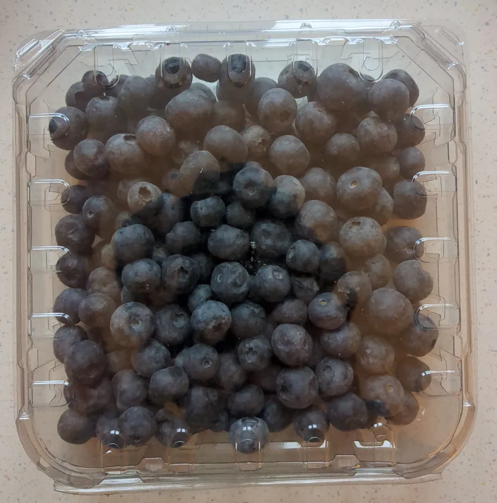 Heidelbeeren Spanien