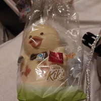 Favorina Küken Kiki