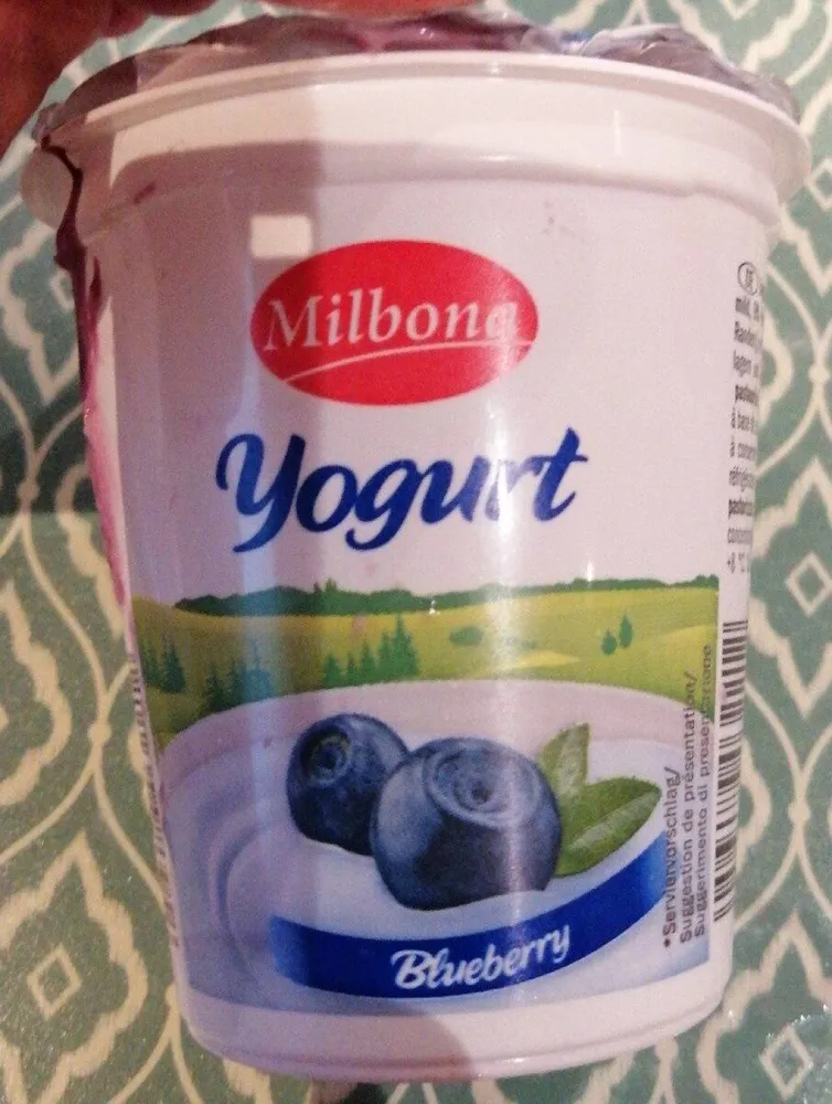 Yogurt myrtille