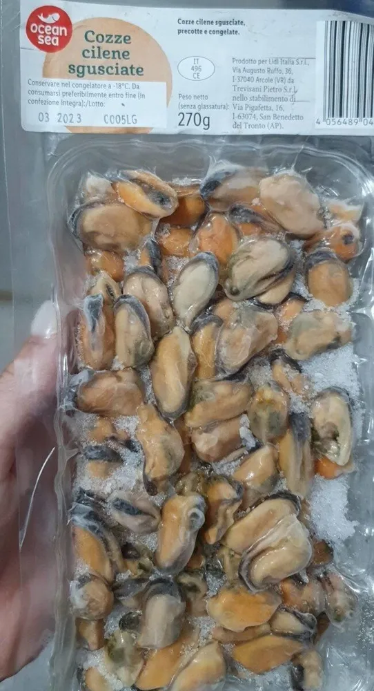 Cozze cilene sgusciate