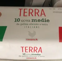 Terra uova
