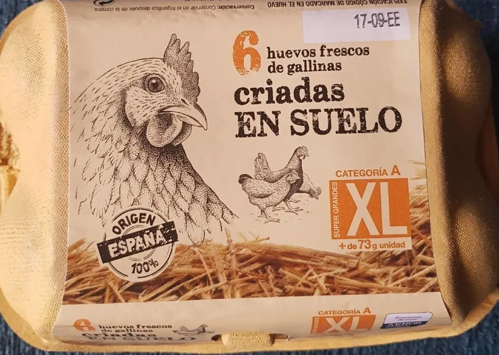 6 huevos XL frescos de gallinas criadas en suelo