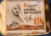 6 huevos XL frescos de gallinas criadas en suelo