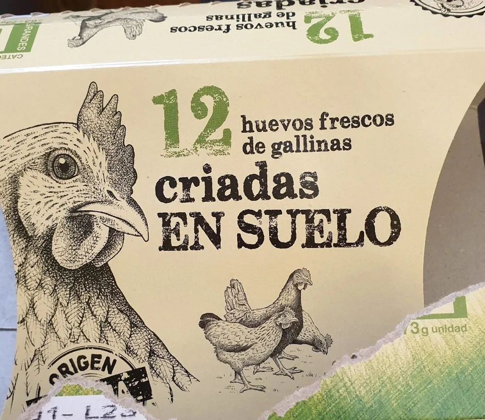 12 huevos frescos de gallinas