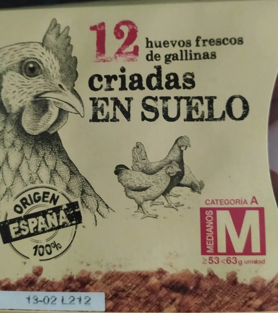 Huevos frescos de gallinas