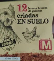 Huevos frescos de gallinas