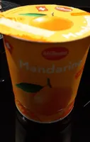 Mandarinen joghurt