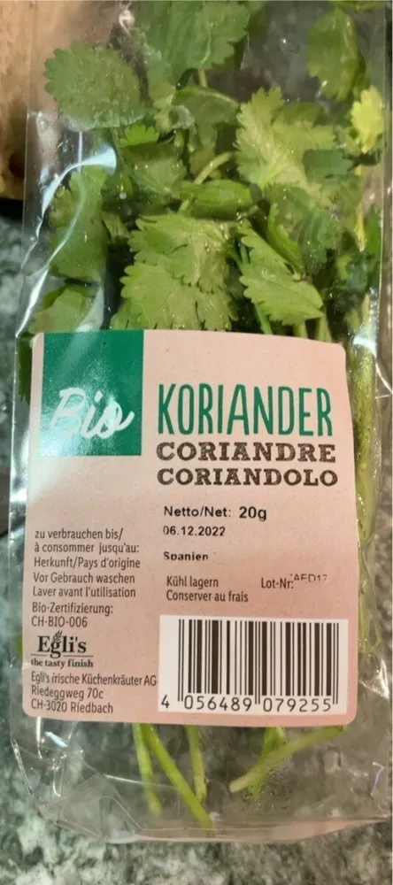 Koriander Bio