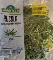 Rucola