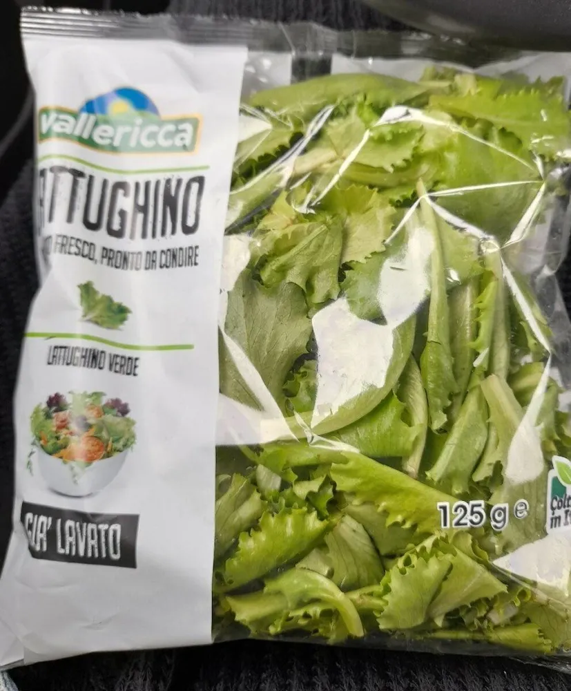 Lattughino verde