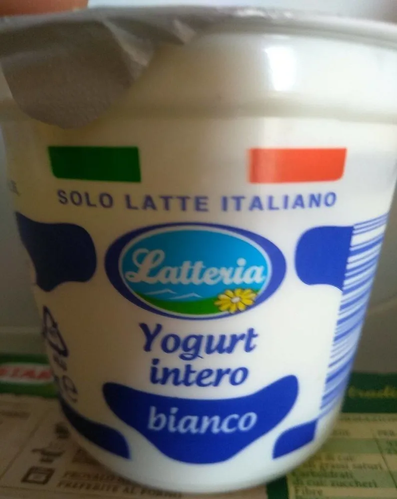 Yogurt intero bianco