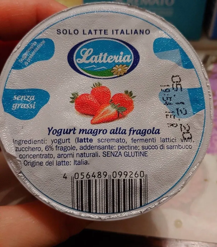 Yogurt magro