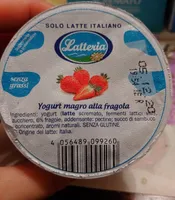 Yogurt magro