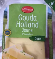 Gouda Holland jeune