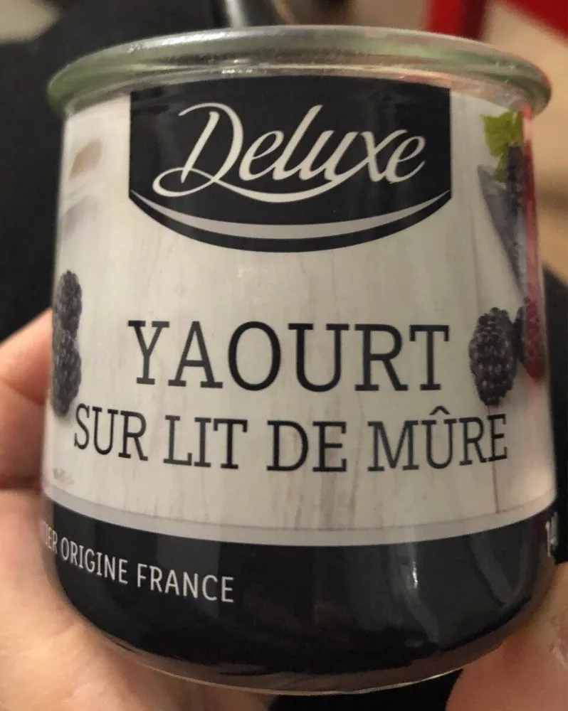 Yaourt sur lit de mure