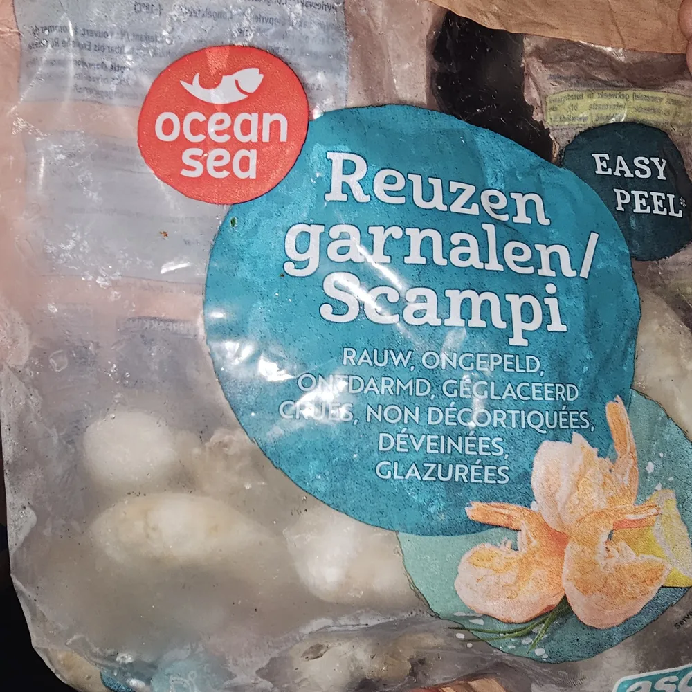 Scampis