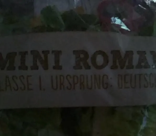 Roma Salatherzen