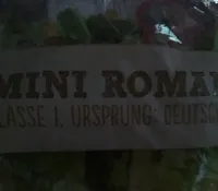 Roma Salatherzen