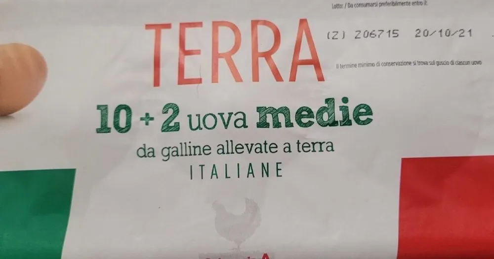 Uova allevate a terra