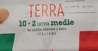 Uova allevate a terra